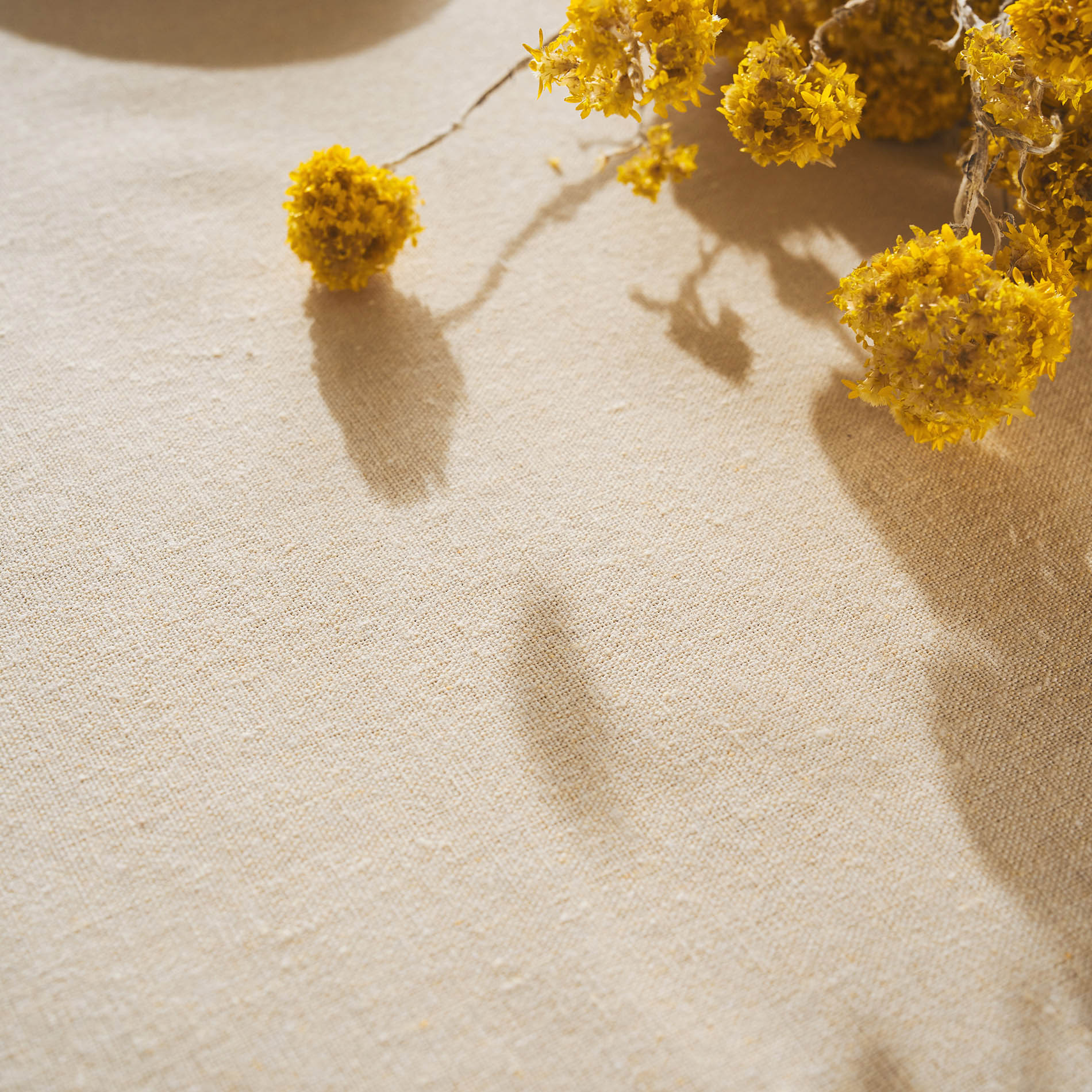 Runner 40x160cm Florial 202