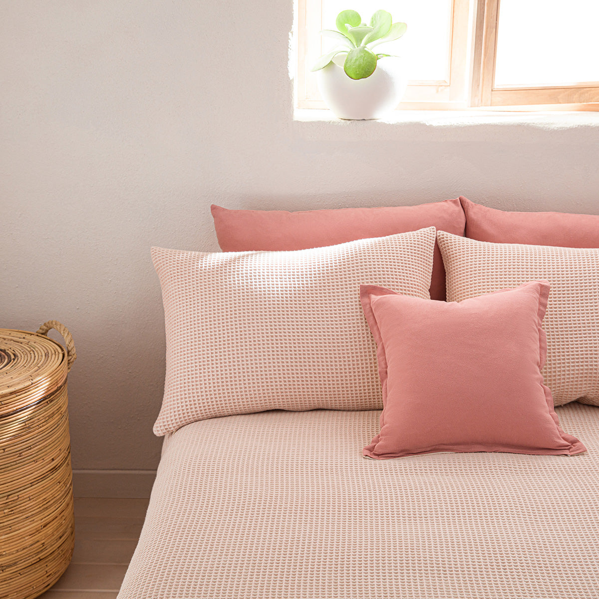 Pillowcase 50x70cm Beehive Pink Shell 571/ 17