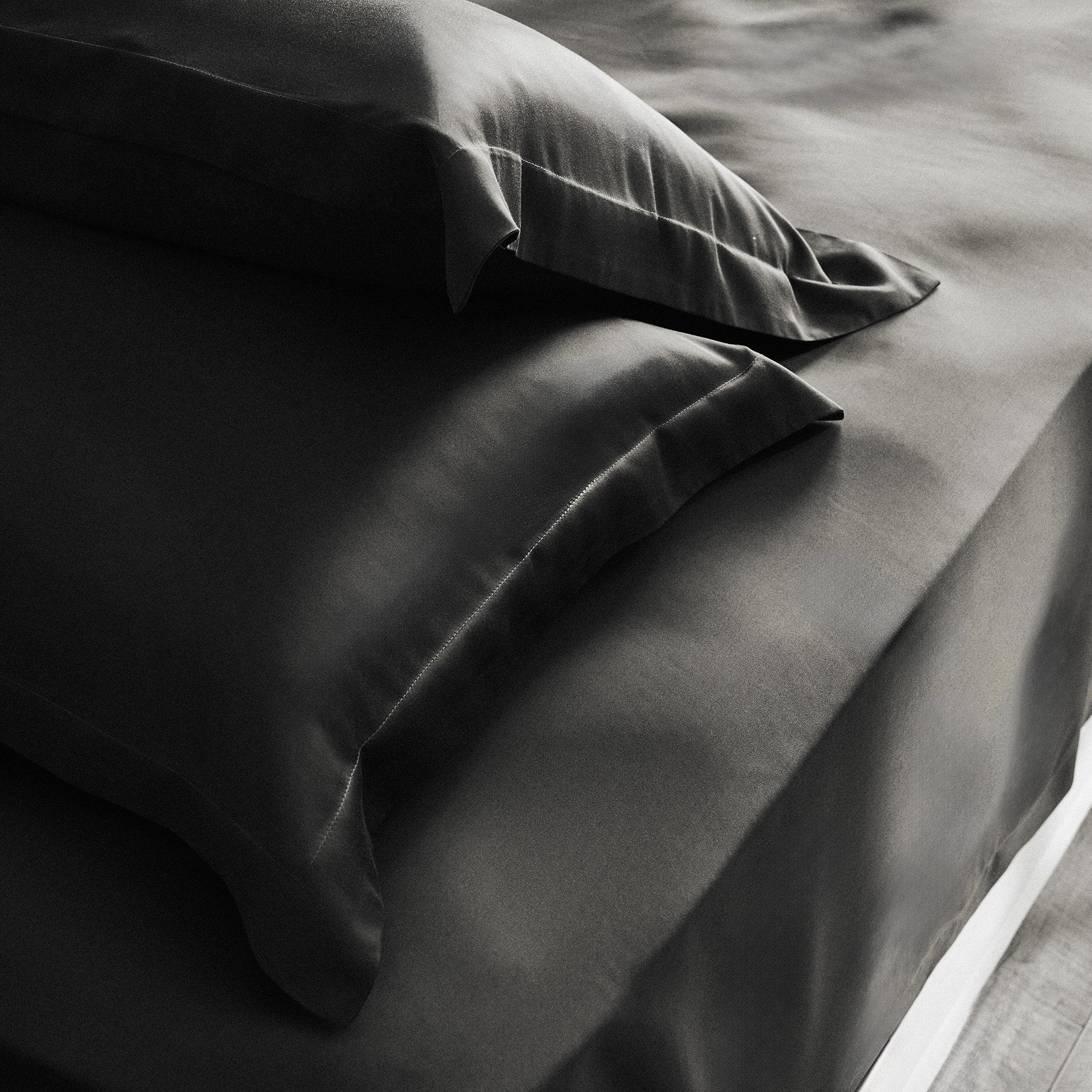 Queen Size Sheet 245x270cm Sentia Black Board 305/14