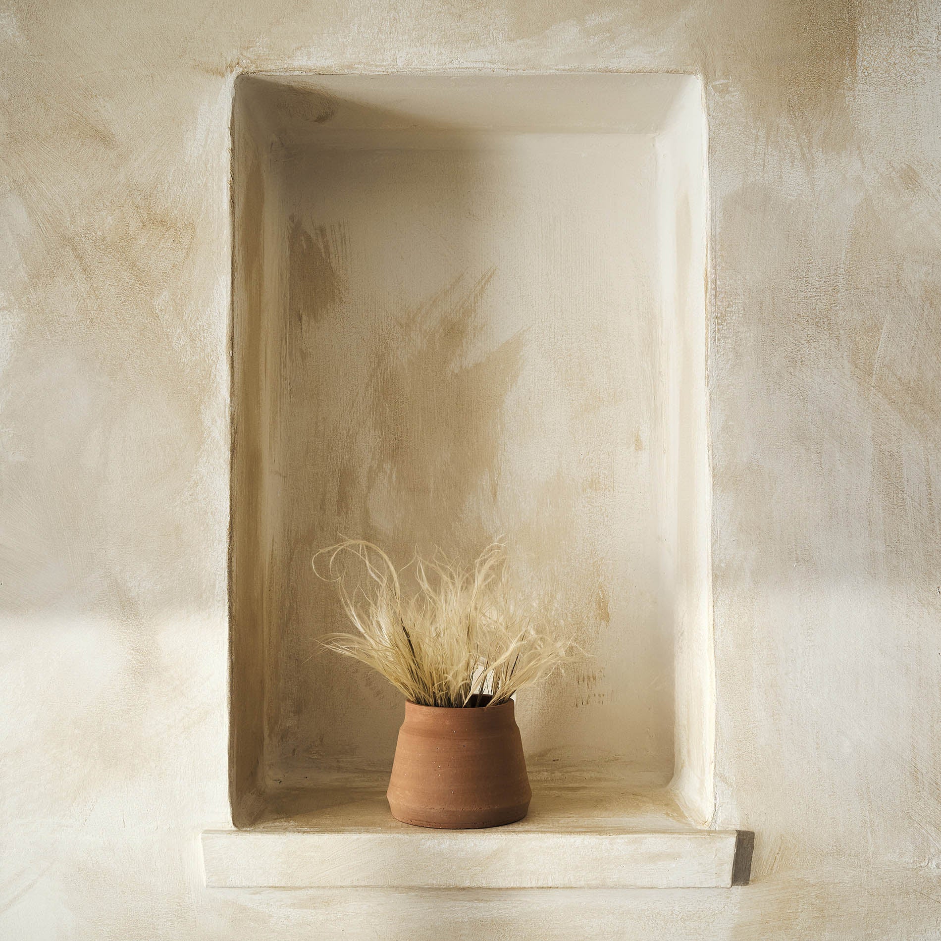 Αποξηραμένα άνθη Stipa Pennata 112