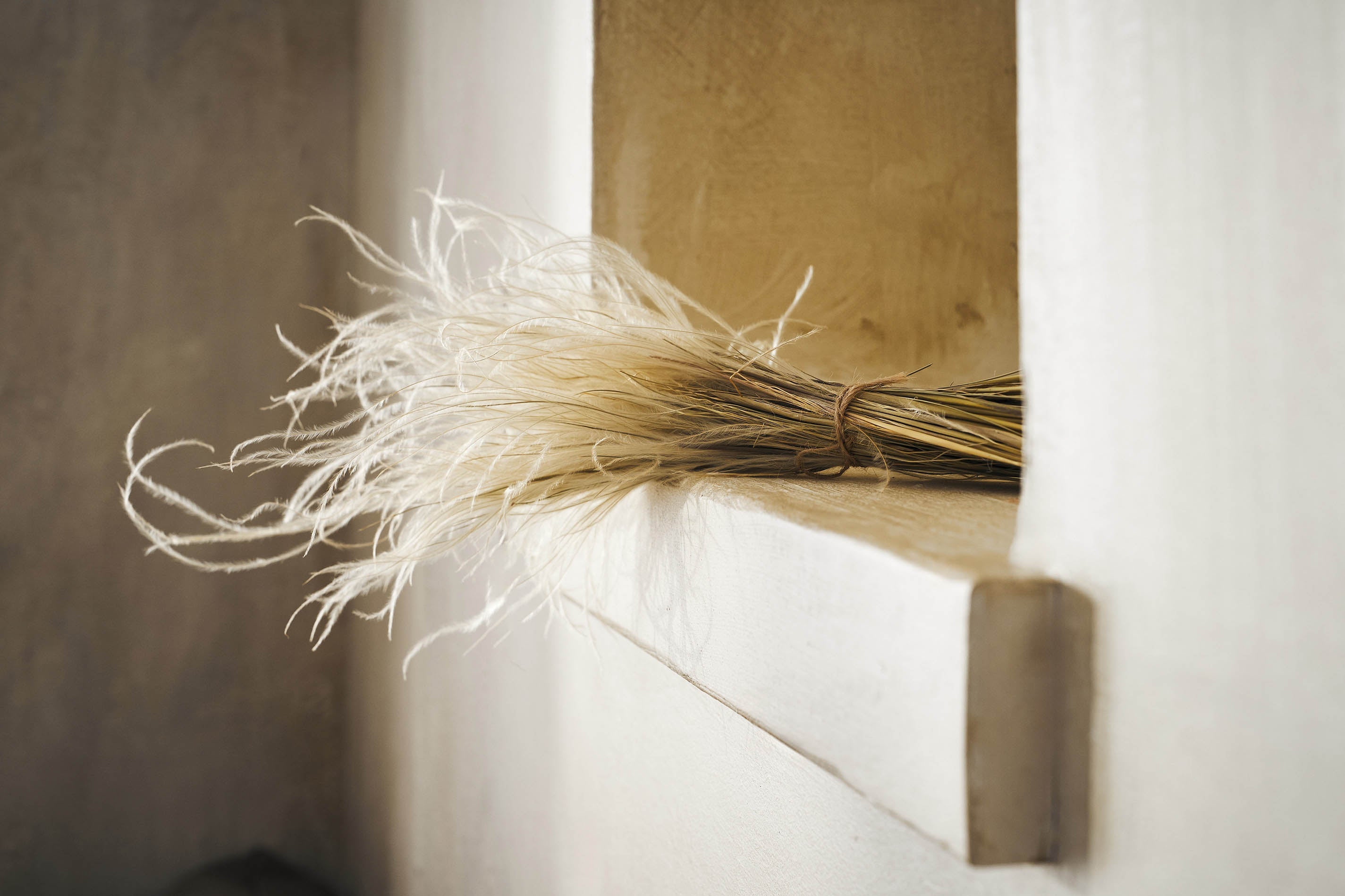 Αποξηραμένα άνθη Stipa Pennata 112