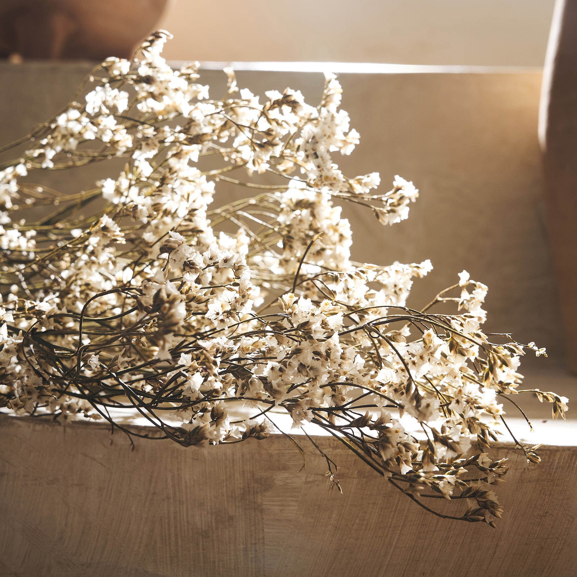 Αποξηραμένα άνθη Confetti 116