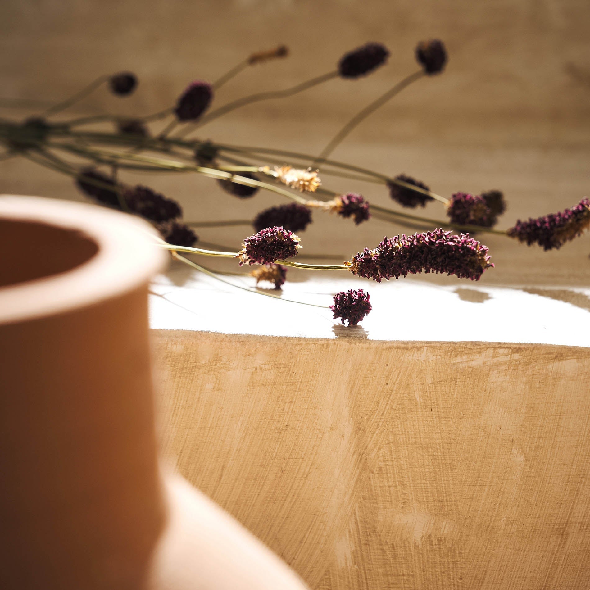 Αποξηραμένα άνθη Lilac 122