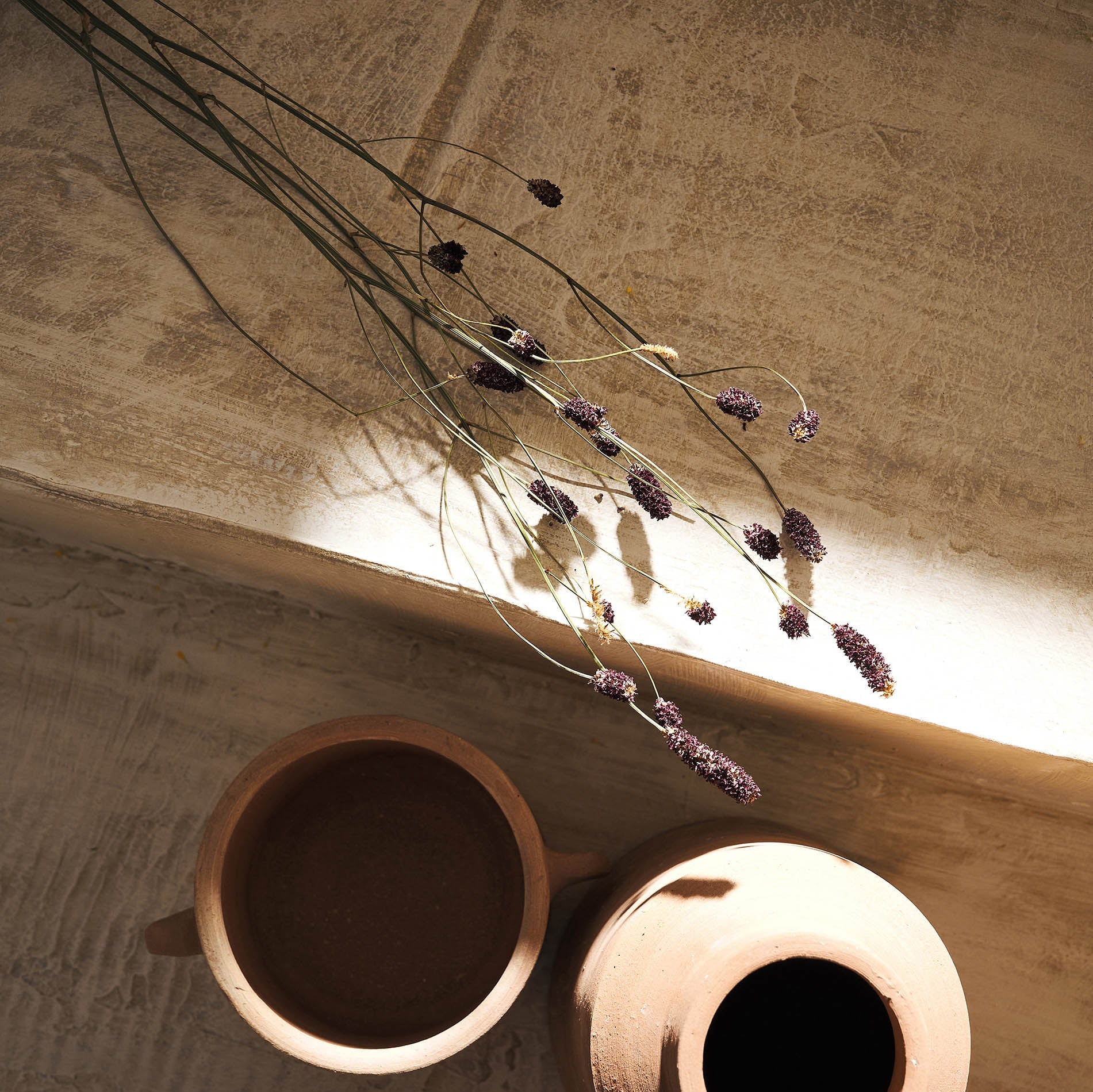 Αποξηραμένα άνθη Lilac 122