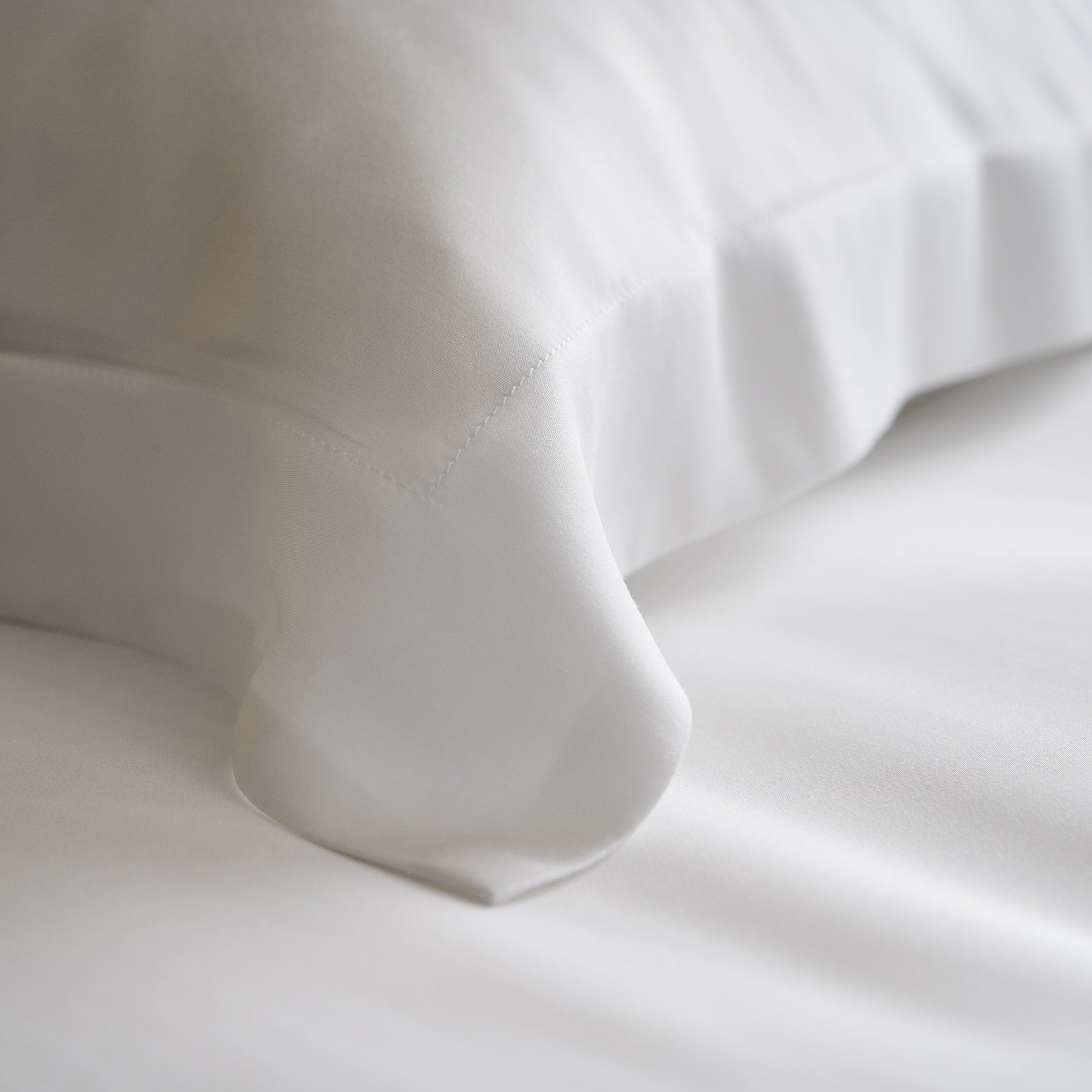 Pillowcases pair 51x72cm Sentia Pure White 305/16