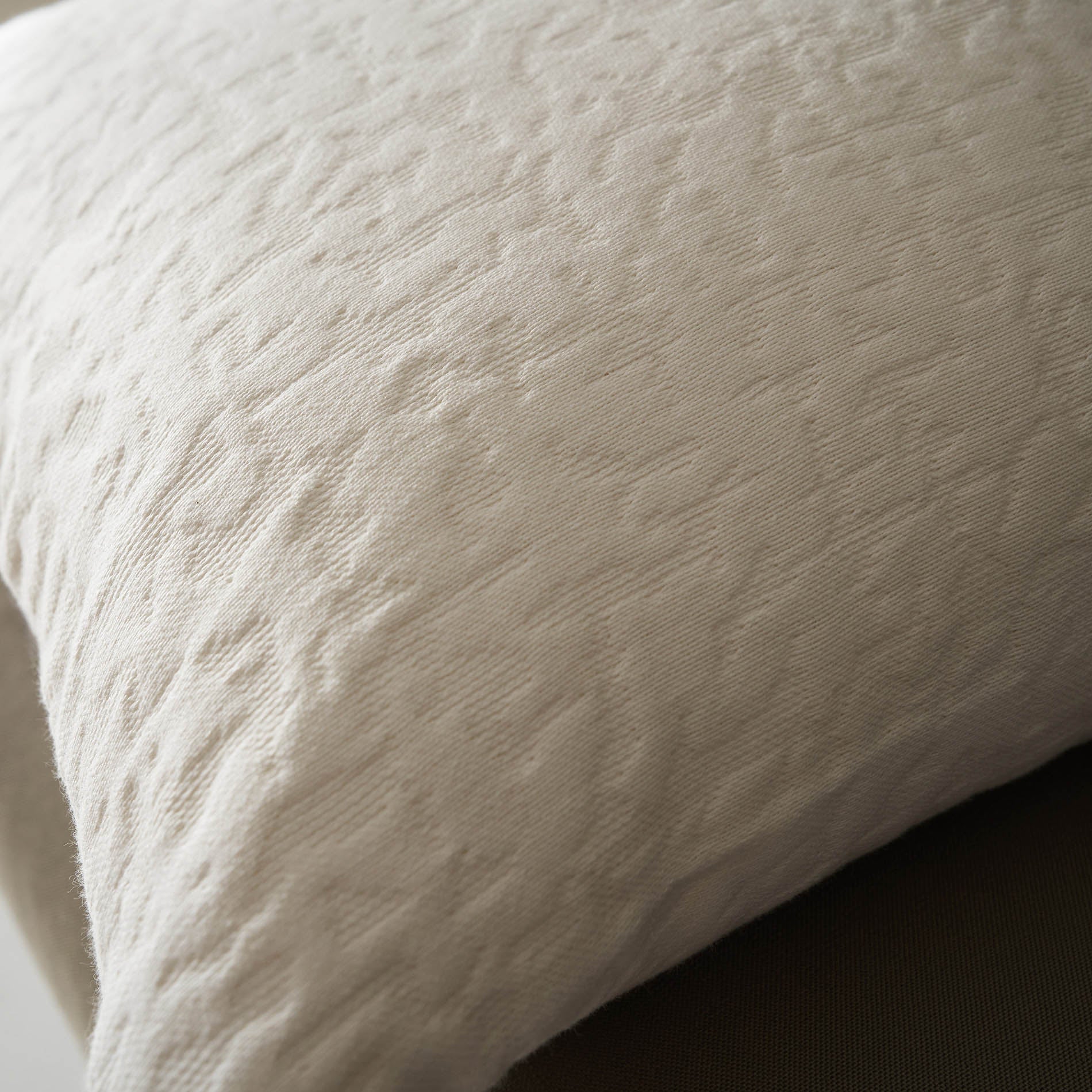 Pillowcase 50x50cm Francis Moon Ecru 729/05