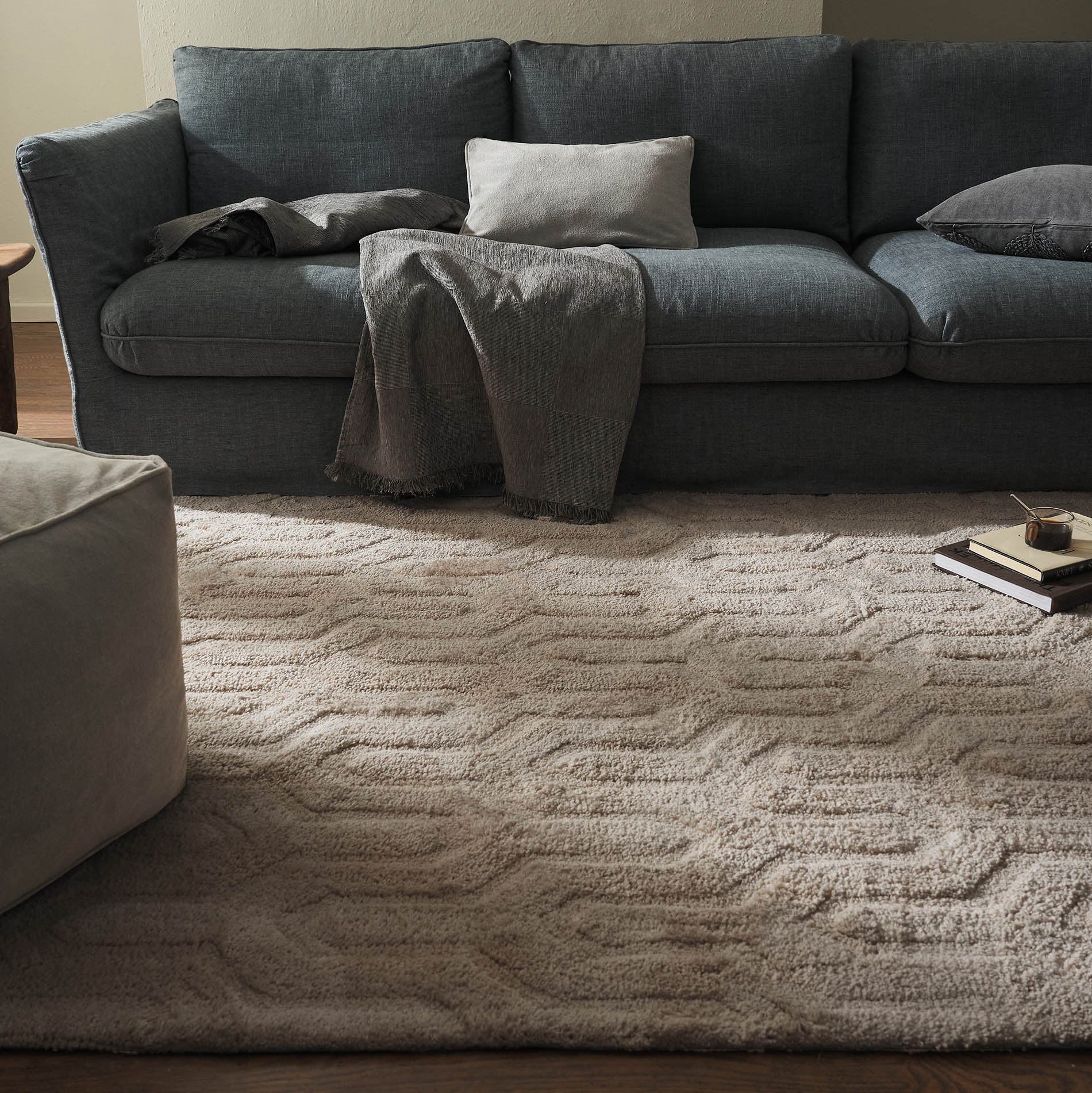 Carpet 160x230cm Delaney Soft Brown 804/06